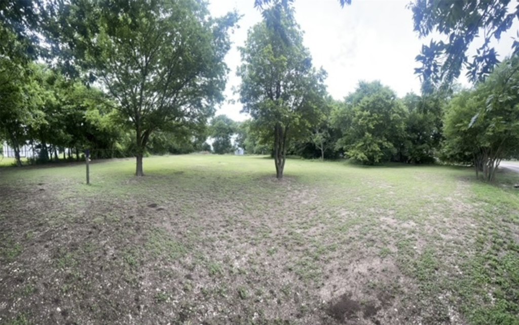 Picture 11