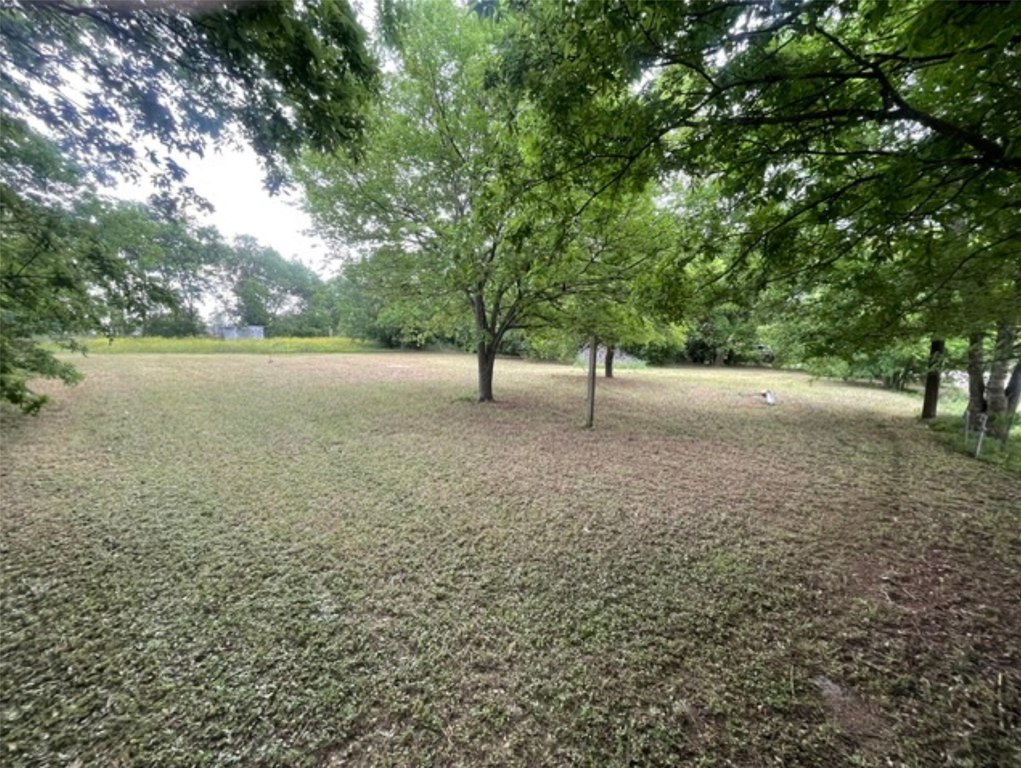 Picture 14