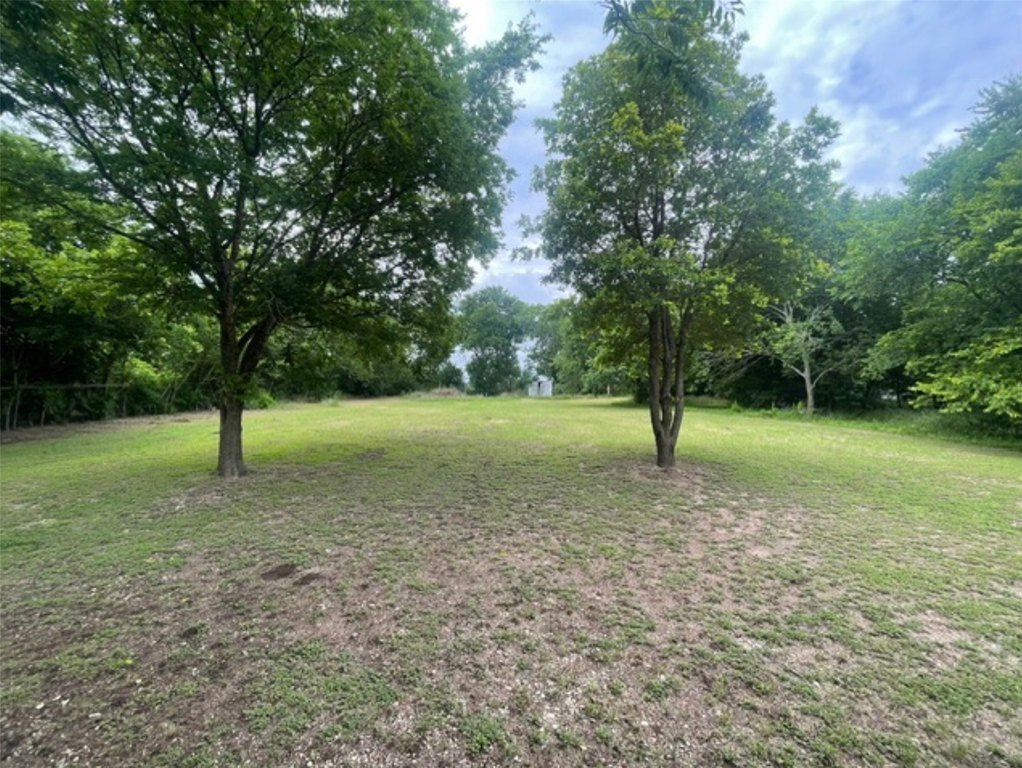 Picture 12