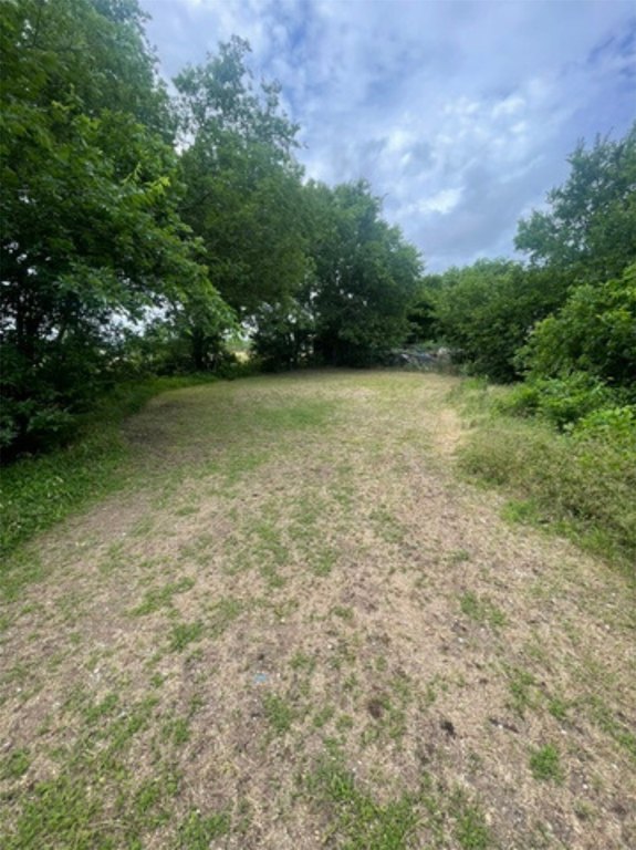 Picture 7