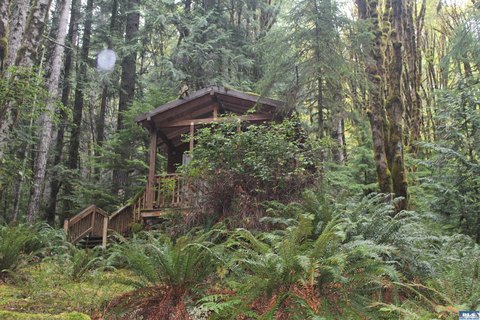 LOTS-LAND, Port Angeles, WA