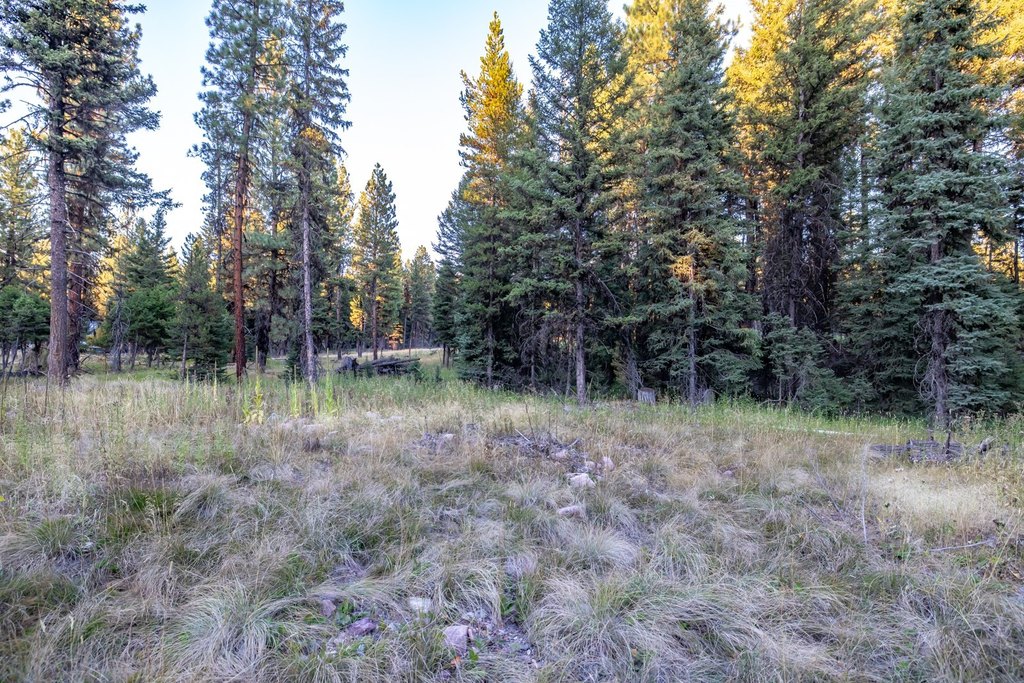 Picture 11