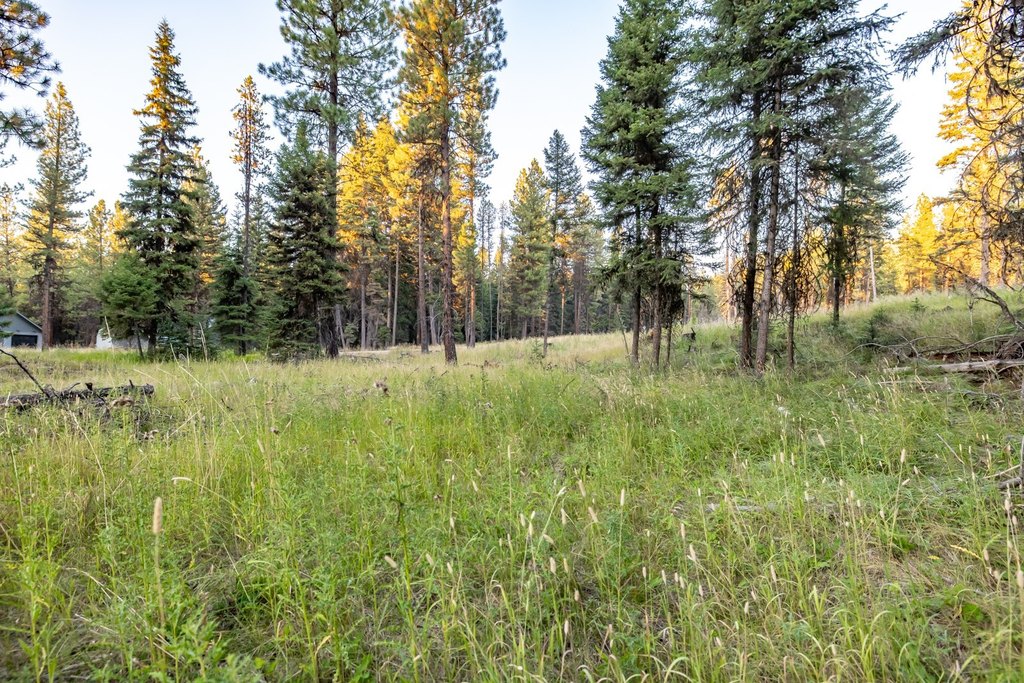 Picture 27