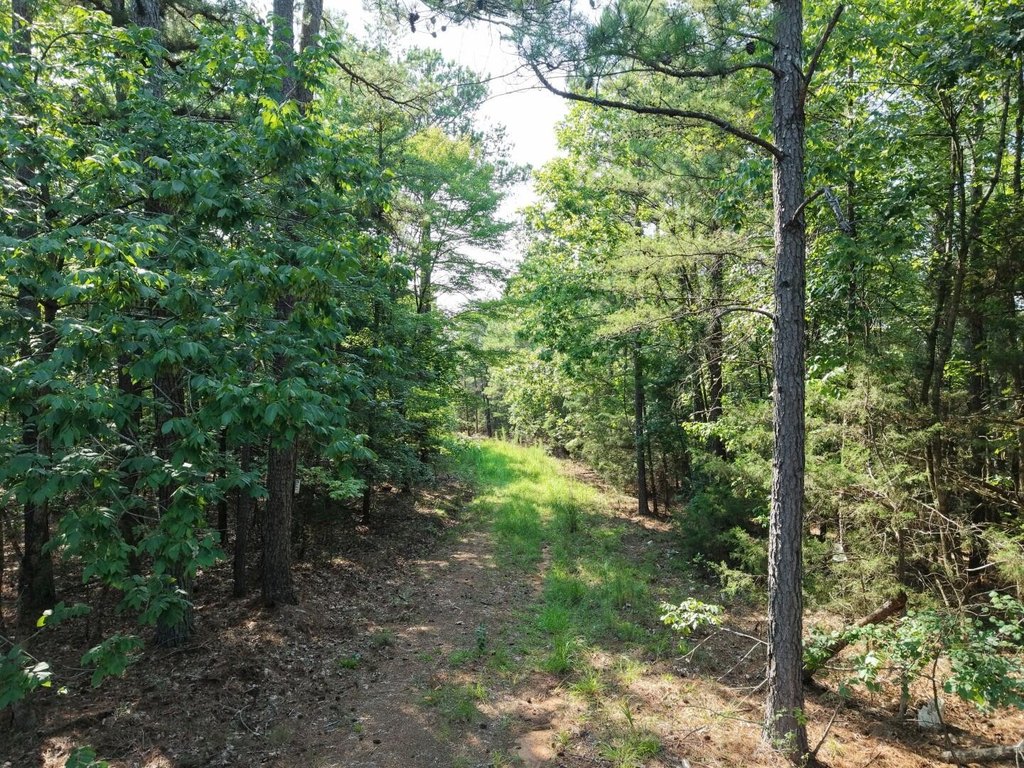 Picture 6