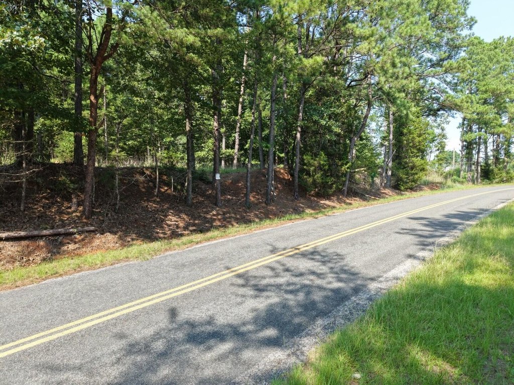 Picture 14