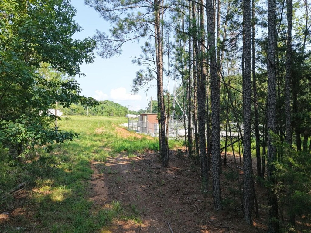 Picture 8