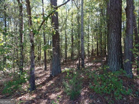 Land, Newnan, GA