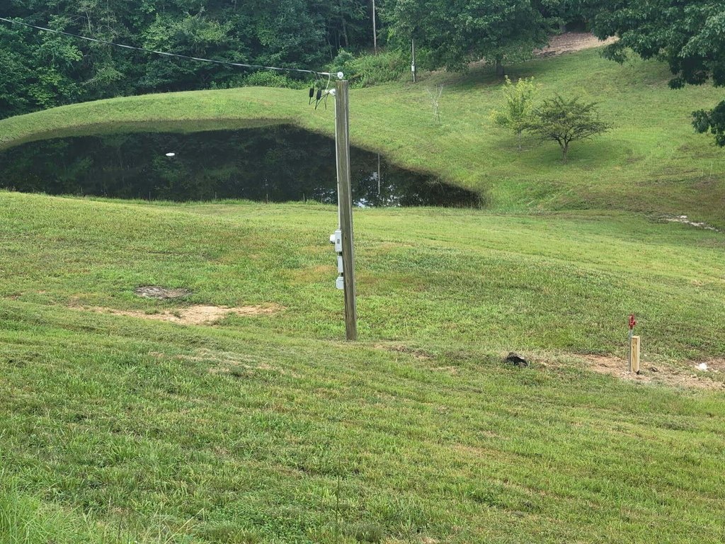 Picture 2