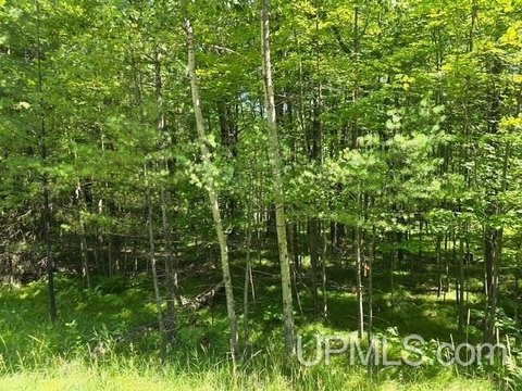 Wooded Land Near Lake Antoine