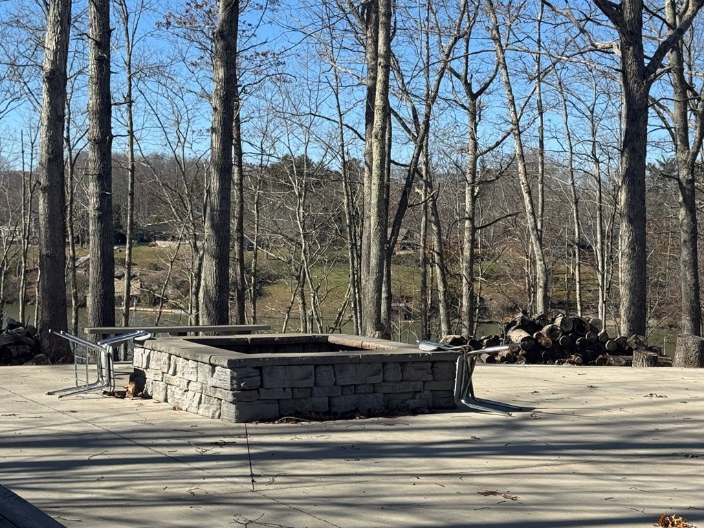 Picture 21