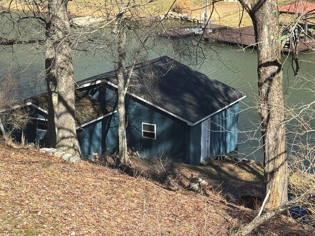 Picture 8