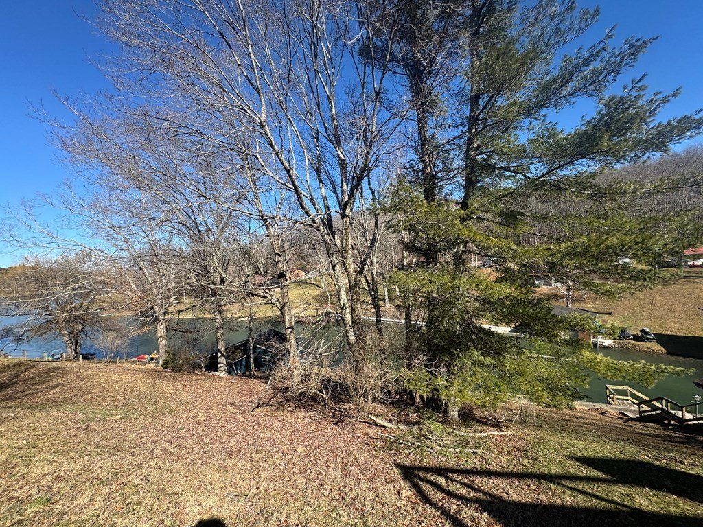 Picture 12