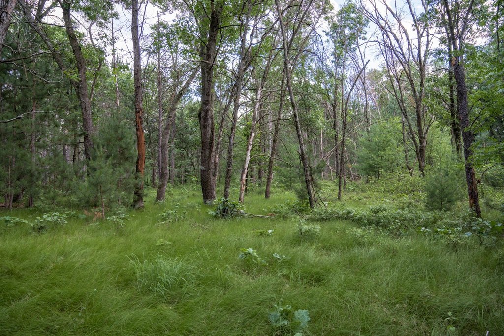 Picture 27
