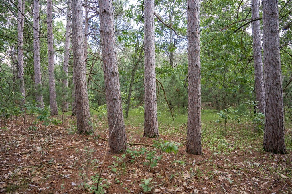 Picture 23