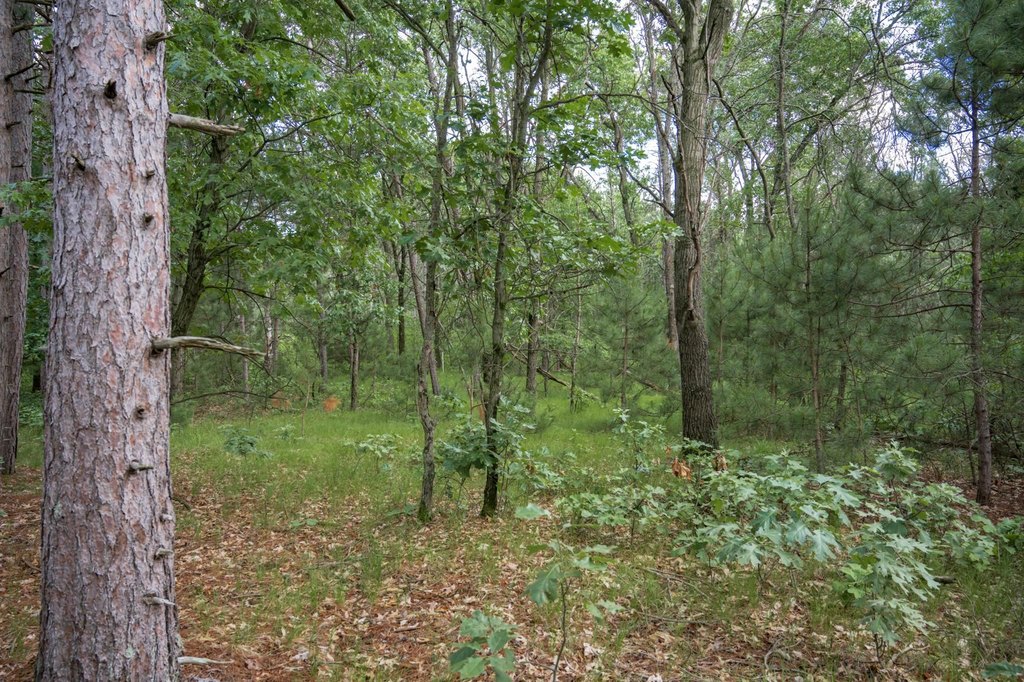 Picture 22
