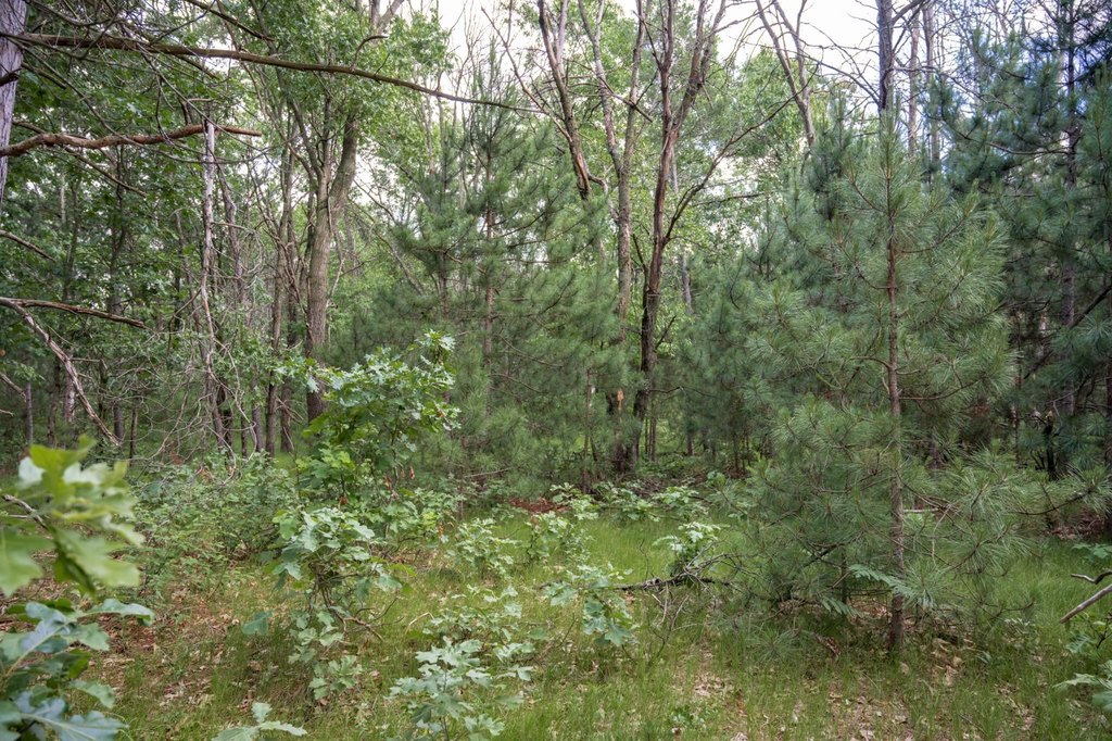 Picture 24