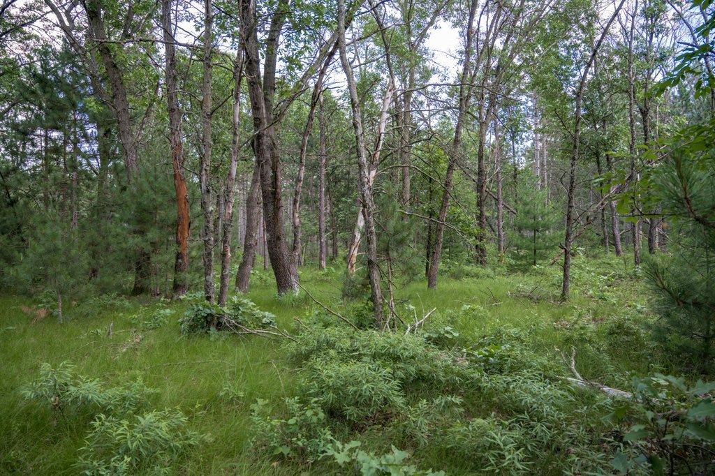 Picture 31