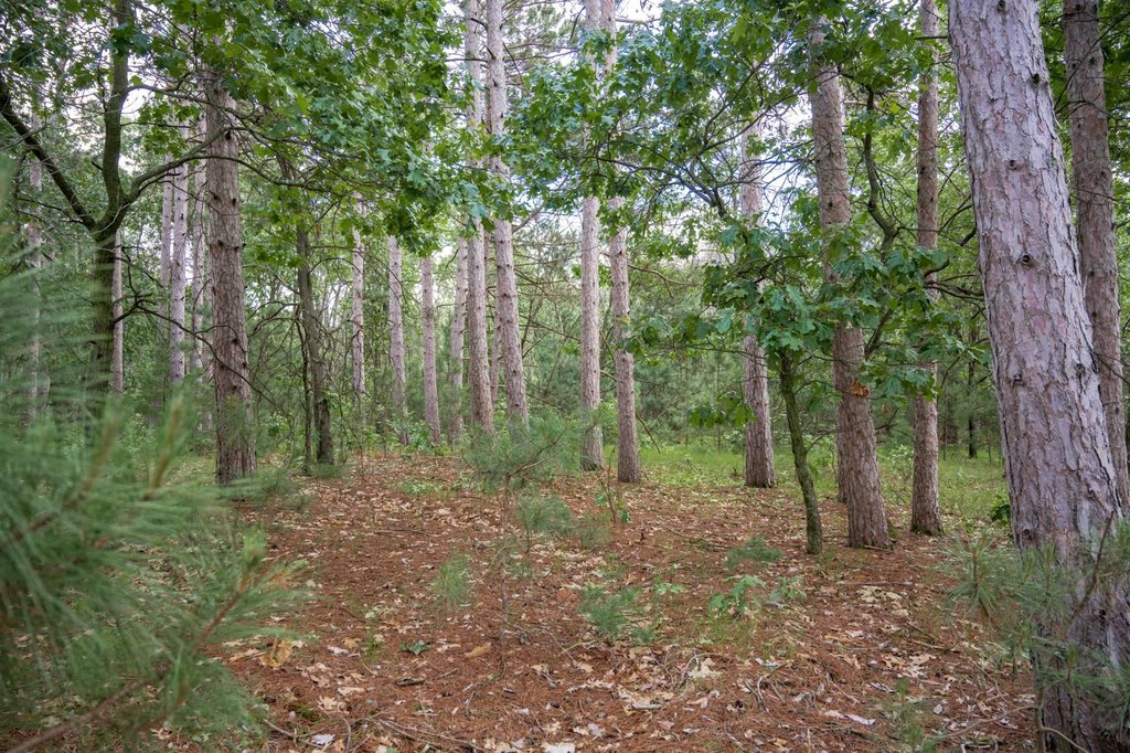 Picture 21