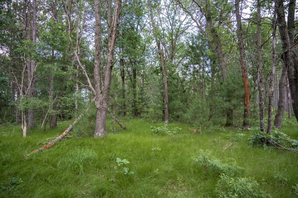 Picture 28
