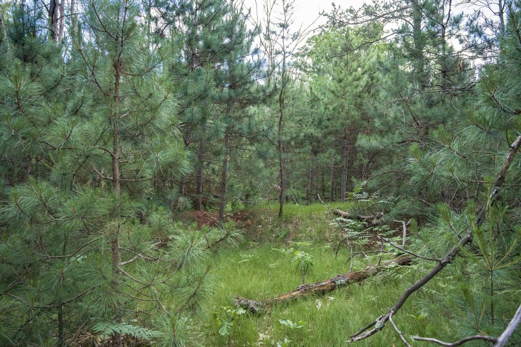 Picture 26