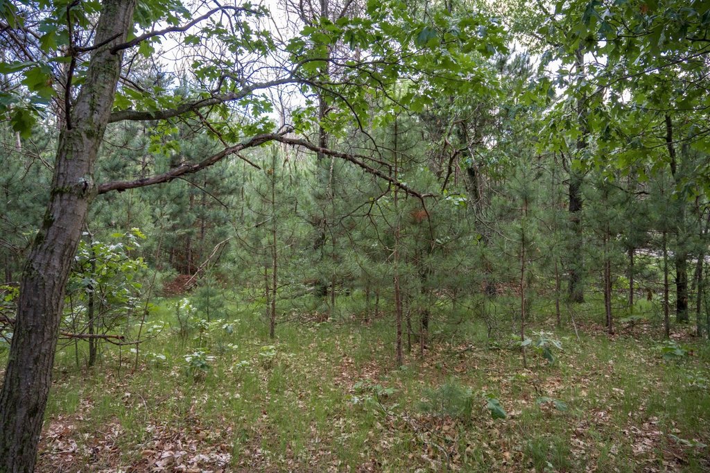 Picture 29