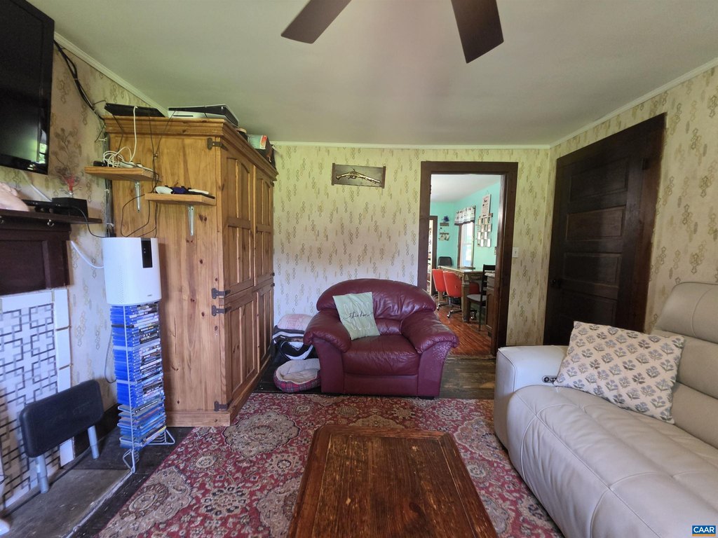 Picture 28