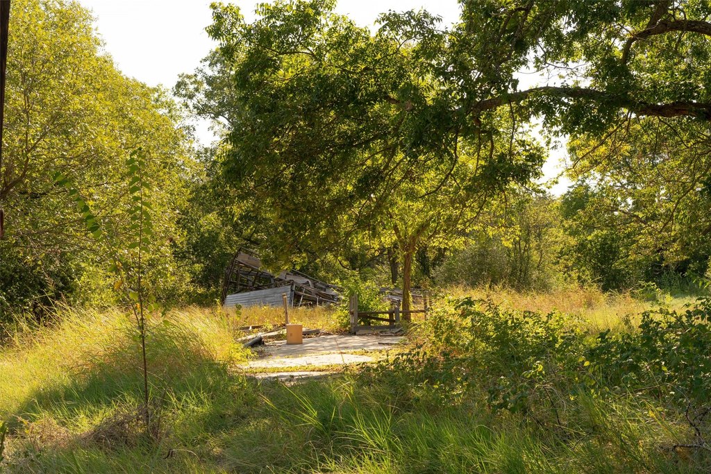 Picture 4