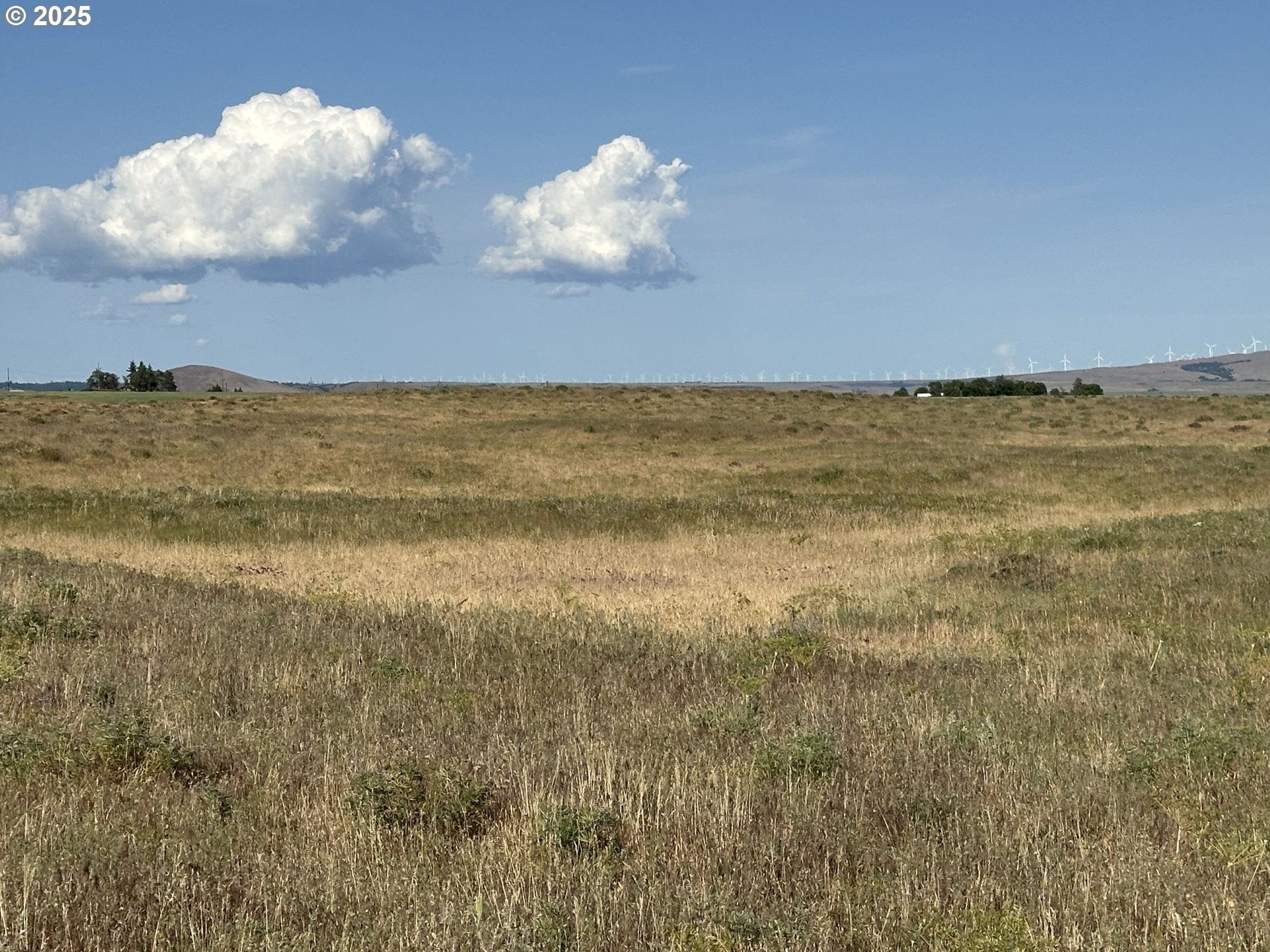 20 Acres in Goldendale, WA