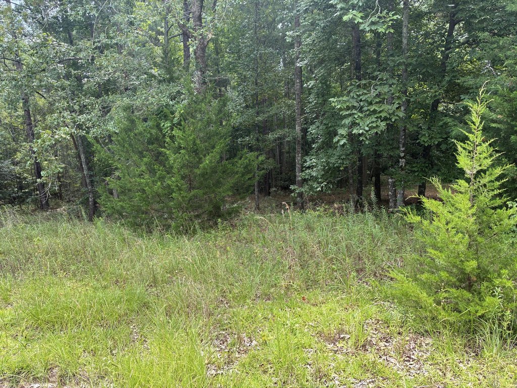 Picture 4