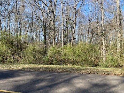 Vacant Land in Philadelphia, MS