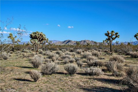 Yucca Valley Land Opportunity