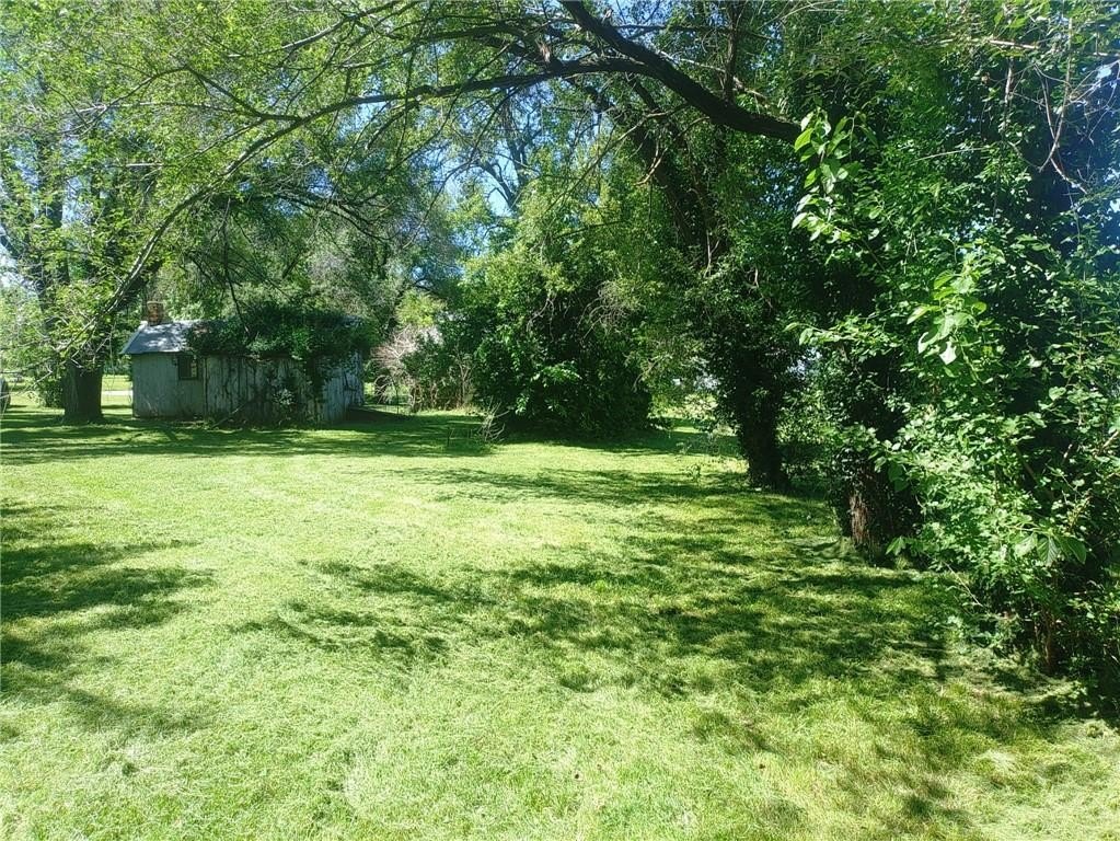 Picture 4