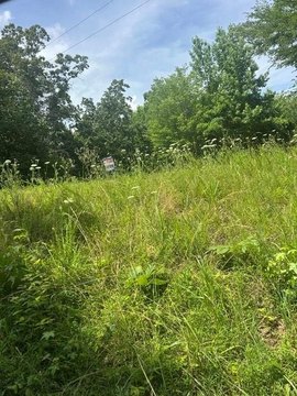LAND - BUCHANAN, TN