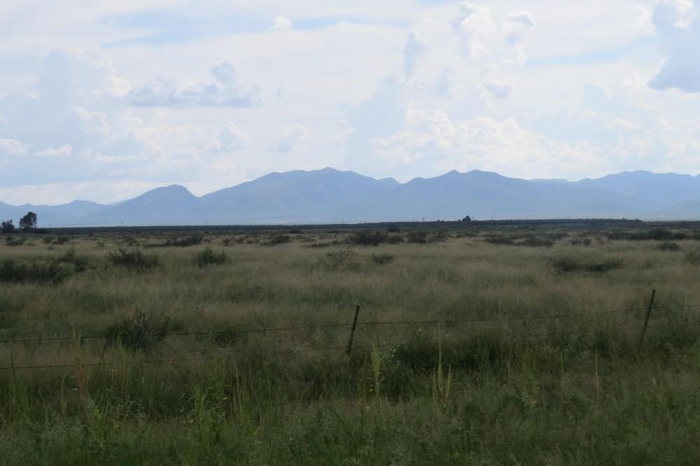 Picture 13