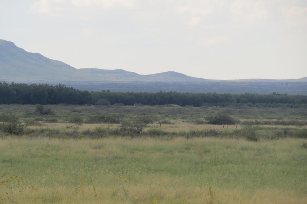 Picture 22