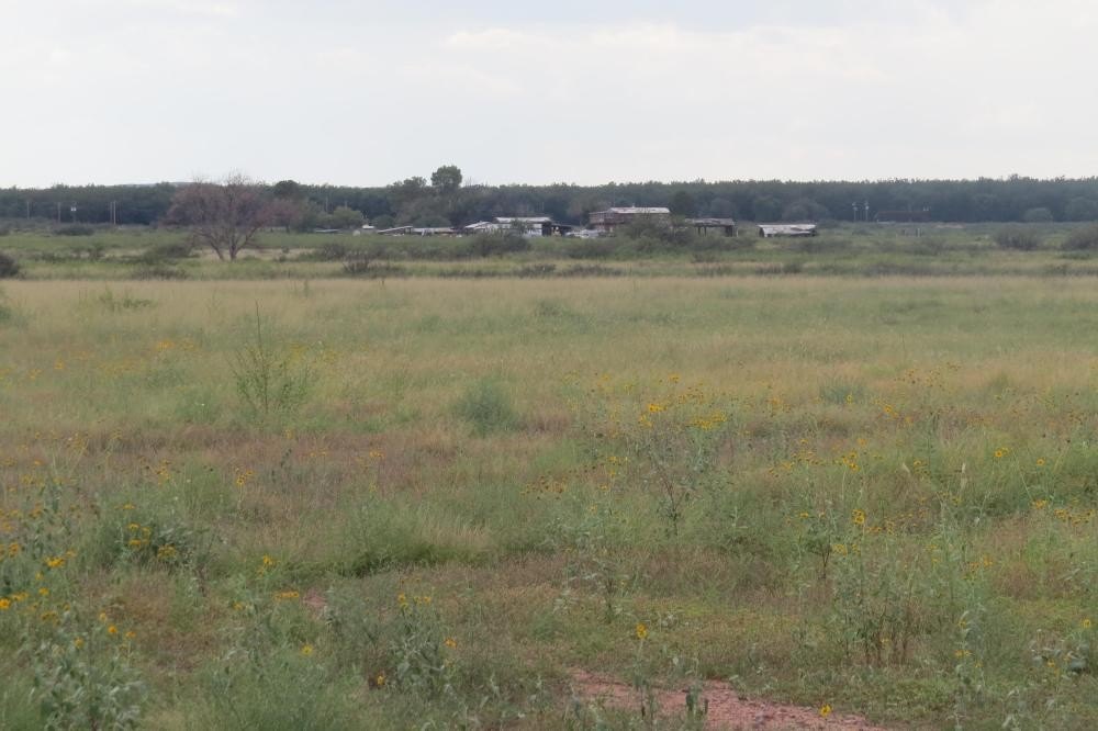 Picture 30