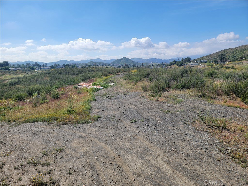 Picture 6