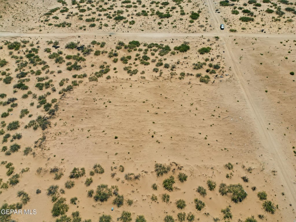 Picture 21