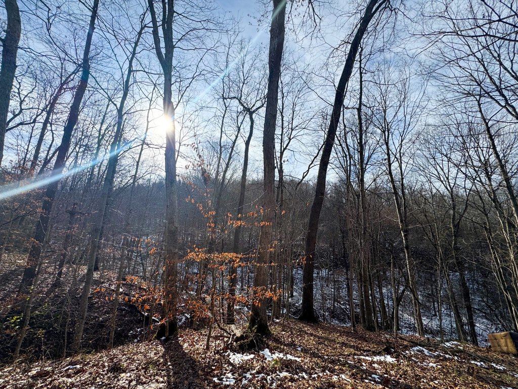 Picture 15