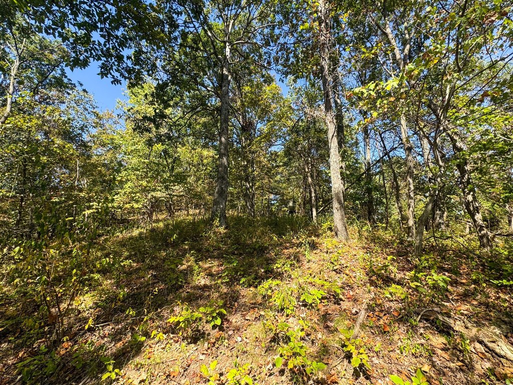 Picture 19