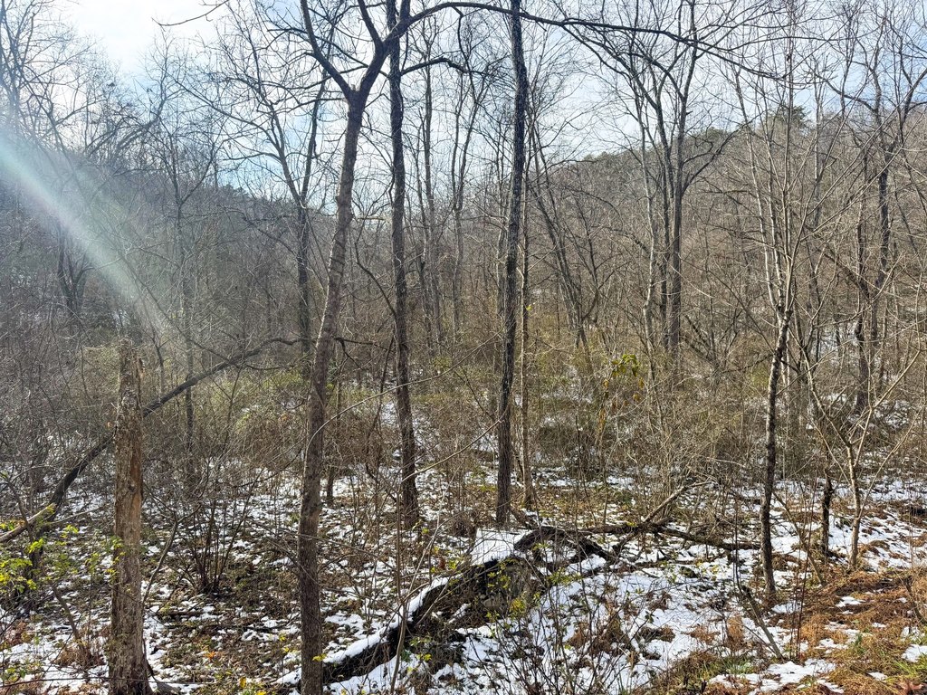 Picture 14