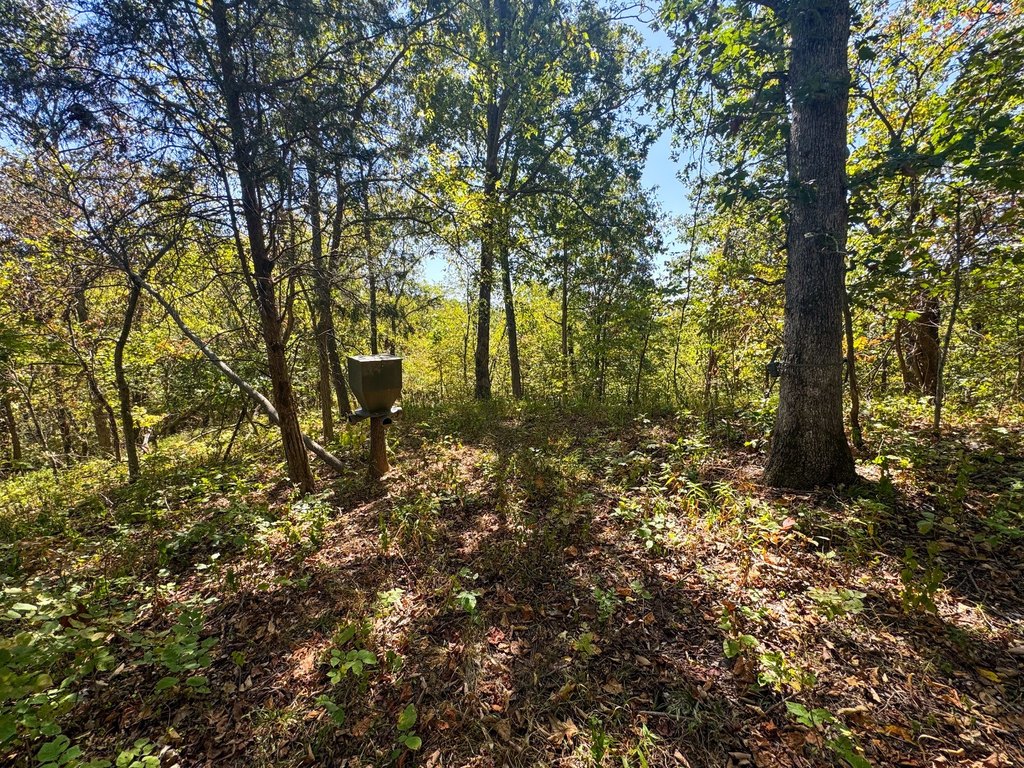 Picture 23