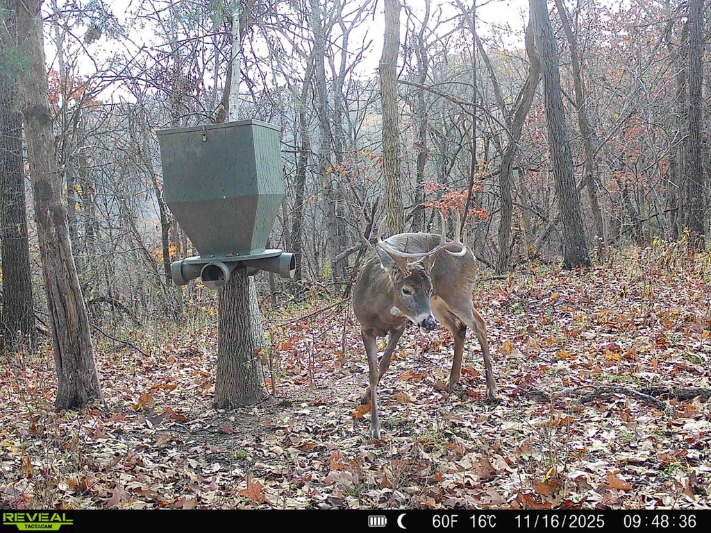 Picture 41