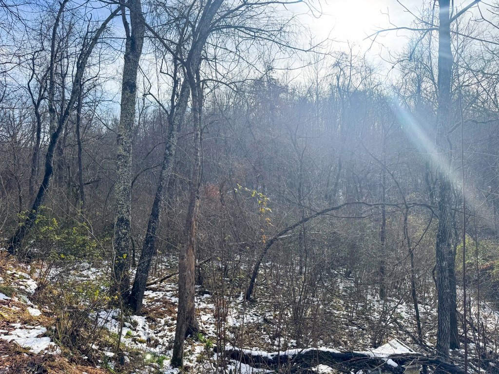 Picture 16