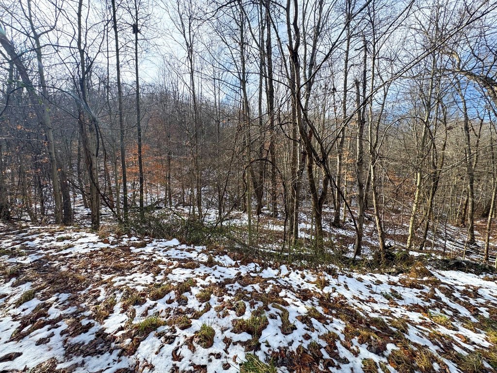 Picture 9