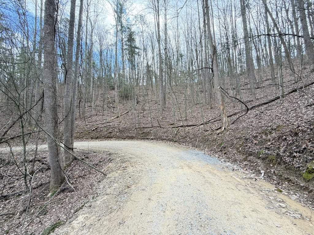 Picture 5