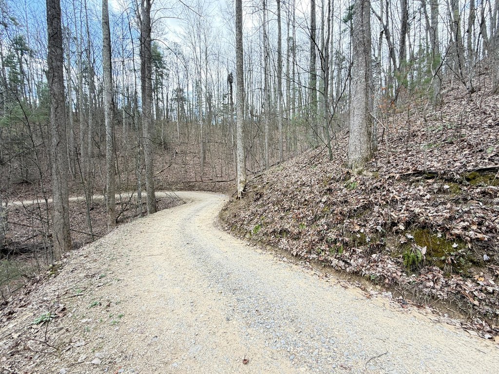 Picture 4