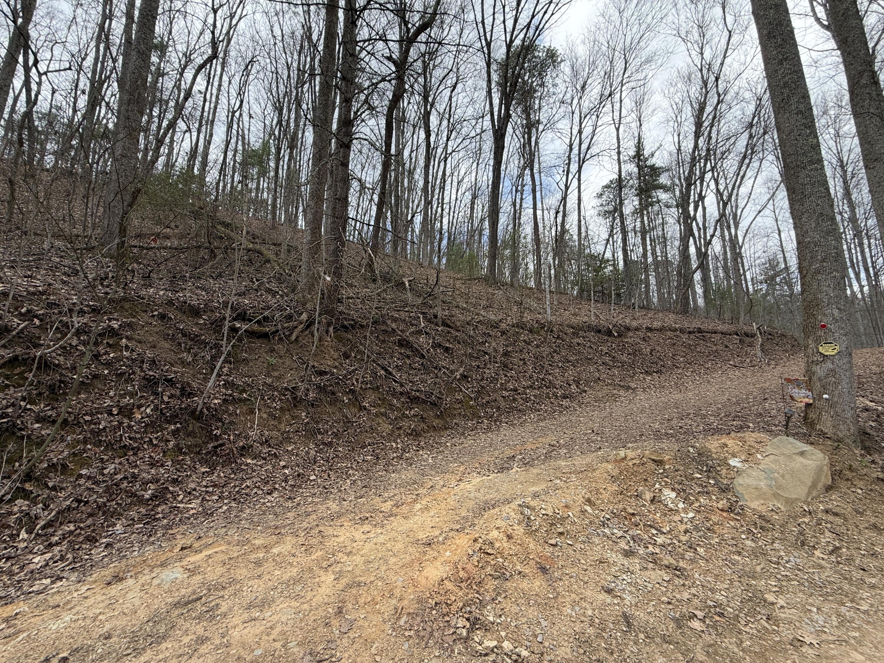 Tennessee Mountain Freedom Land