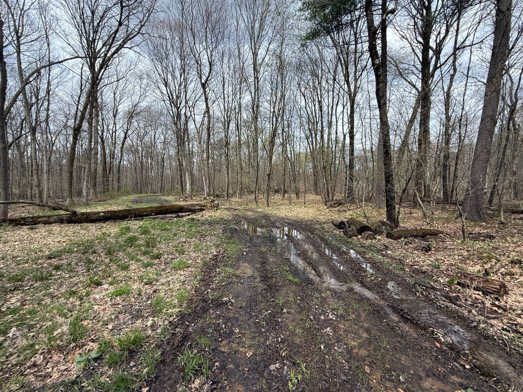 Picture 29