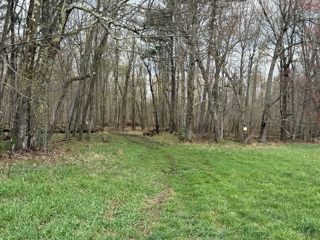 Picture 27